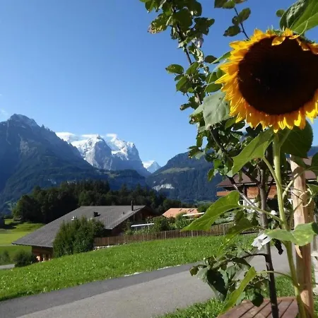 Gerbi West 8-bettwohnung Apartment Meiringen